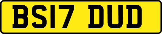 BS17DUD