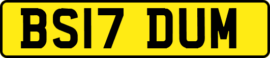 BS17DUM