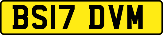 BS17DVM