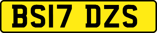 BS17DZS