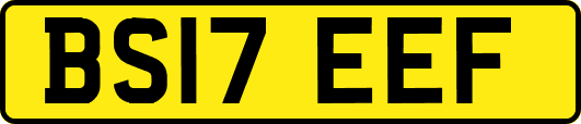 BS17EEF