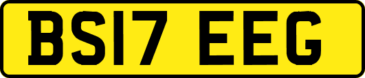 BS17EEG