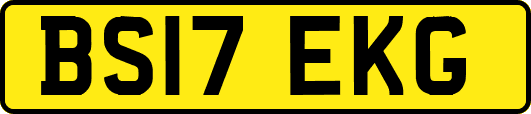 BS17EKG
