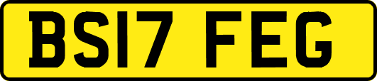 BS17FEG