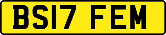 BS17FEM