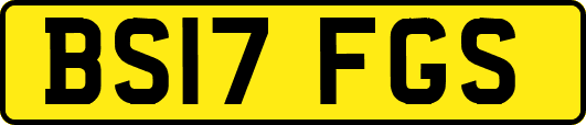BS17FGS