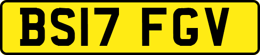 BS17FGV