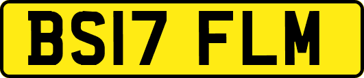BS17FLM