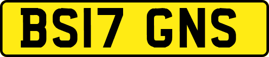 BS17GNS