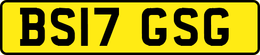 BS17GSG