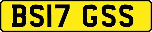 BS17GSS