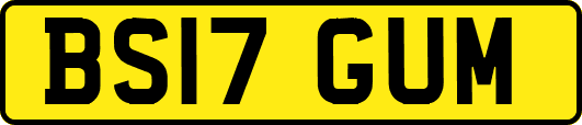 BS17GUM