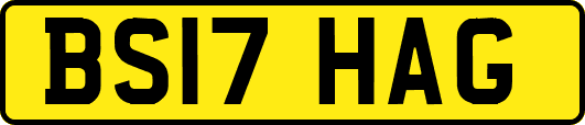 BS17HAG