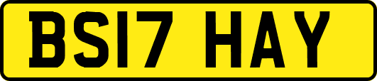 BS17HAY