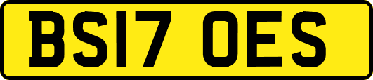 BS17OES