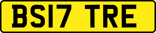 BS17TRE
