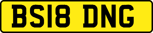 BS18DNG