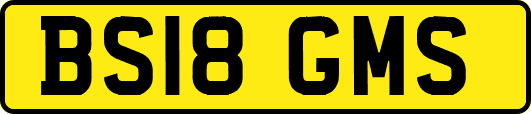 BS18GMS