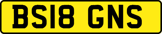 BS18GNS