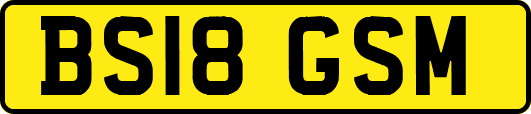 BS18GSM