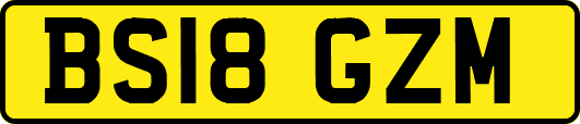 BS18GZM