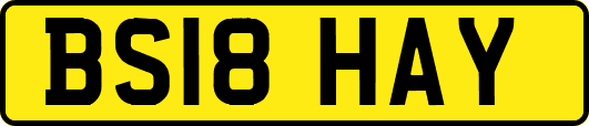 BS18HAY