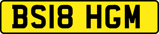 BS18HGM