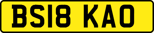 BS18KAO