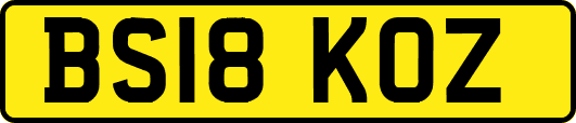 BS18KOZ