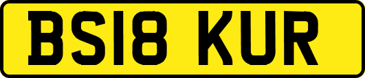 BS18KUR