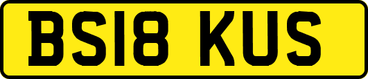 BS18KUS
