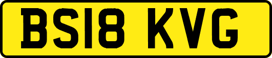 BS18KVG