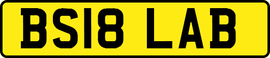 BS18LAB