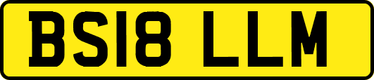 BS18LLM