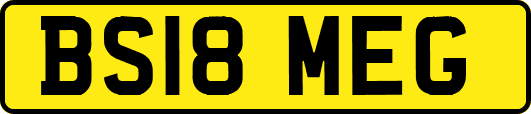 BS18MEG