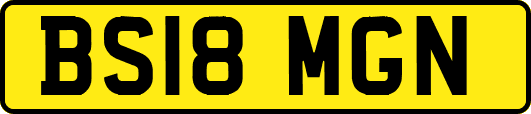BS18MGN