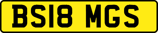 BS18MGS
