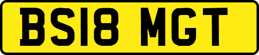 BS18MGT