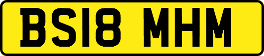 BS18MHM