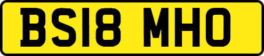 BS18MHO
