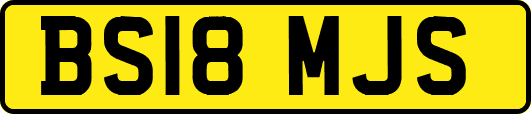 BS18MJS