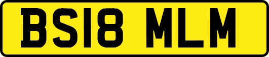 BS18MLM