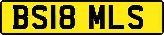 BS18MLS