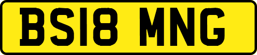 BS18MNG