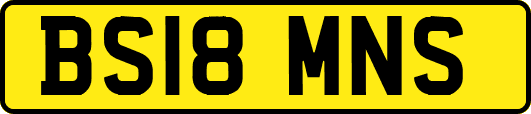 BS18MNS