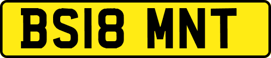 BS18MNT