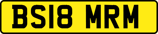 BS18MRM