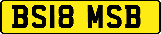 BS18MSB