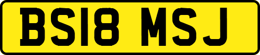 BS18MSJ