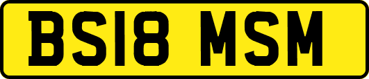 BS18MSM